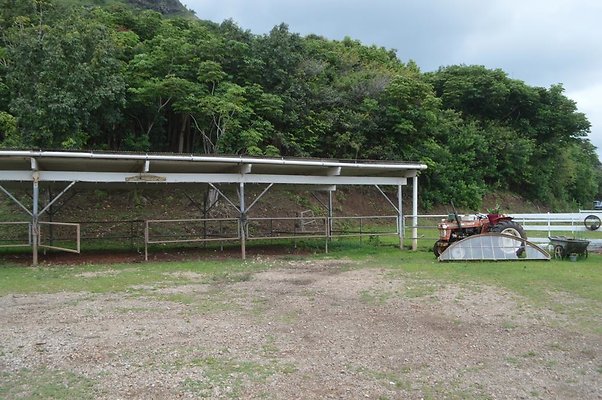 th DSC 0088 th DSC 0088