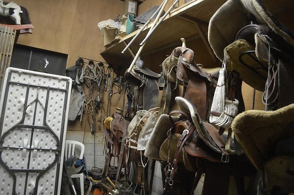 th DSC 0103 th DSC 0103