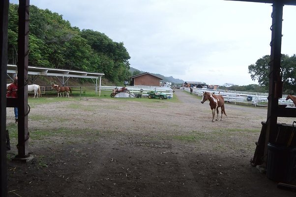 th DSC 0099 th DSC 0099