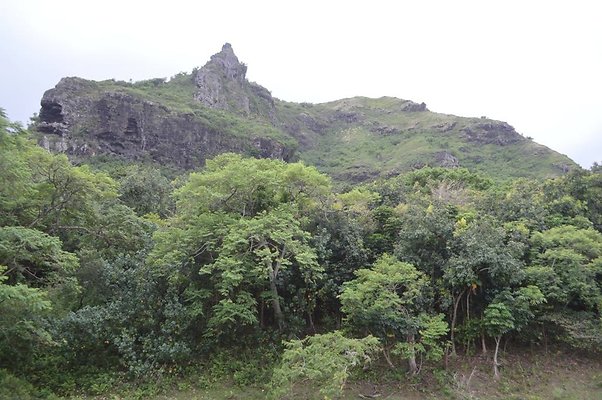 th DSC 0144 2 th DSC 0144 2