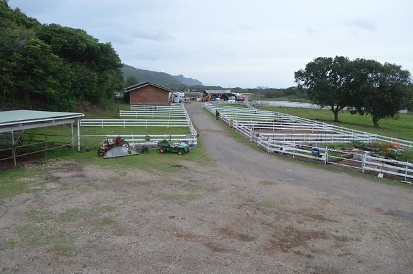 th DSC 0126 th DSC 0126