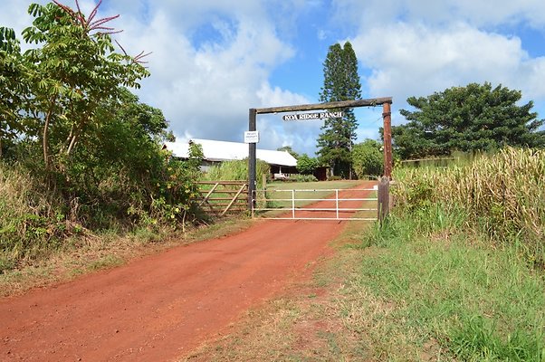 Ka Uka Property - Bob Cherry - 15min into the Mountains Ka Uka Property - Bob Cherry - 15min into the Mountains