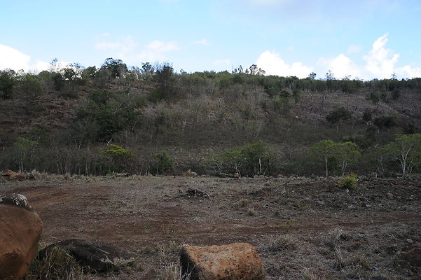 Bob Cherrys Ranch rs Bob Cherrys Ranch rs