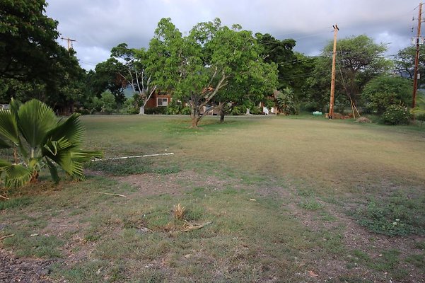 th IMG 1162 th IMG 1162