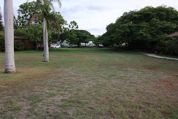 th IMG 1141 th IMG 1141