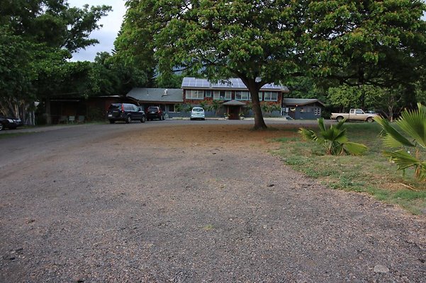 th IMG 1161 th IMG 1161