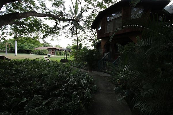 th IMG 1151 th IMG 1151