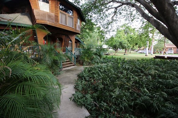 th IMG 1149 th IMG 1149