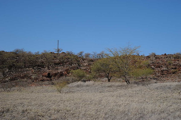 Campbell PG Gibson Property rs Campbell PG Gibson Property rs