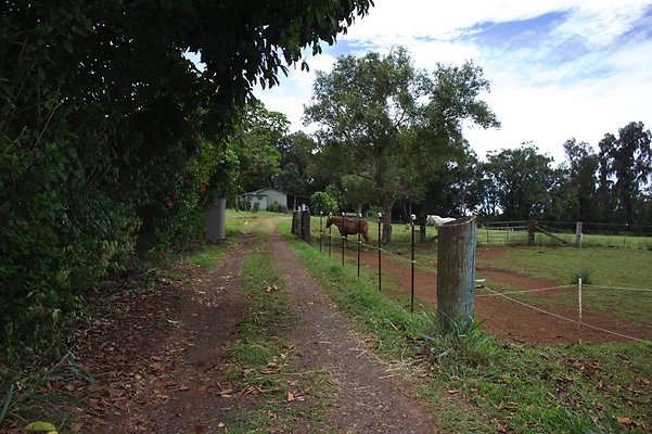 th IMG 4397 th IMG 4397