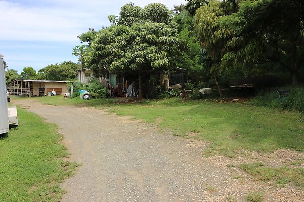 Waimanalo Na Lio o Waimanalo June Pires 808.306.6587 Waimanalo Na Lio o Waimanalo June Pires 808.306.6587