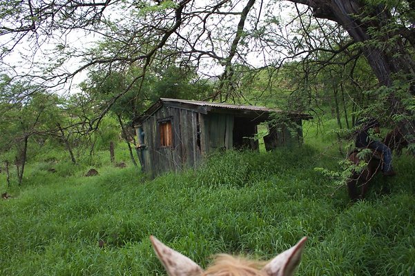 Fallen Structures Fallen Structures