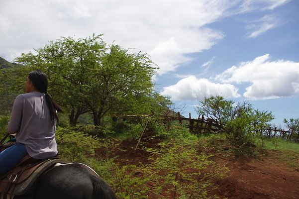 th IMG 4655 th IMG 4655