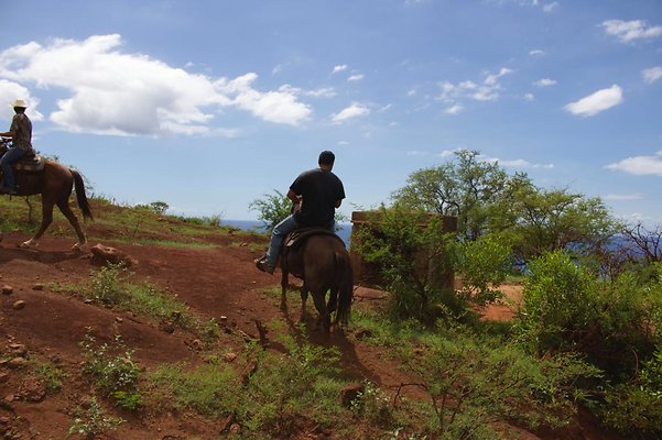 th IMG 4654 th IMG 4654