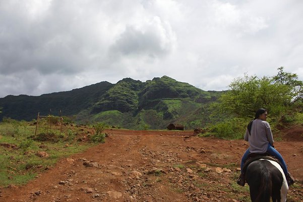 th IMG 4653 th IMG 4653