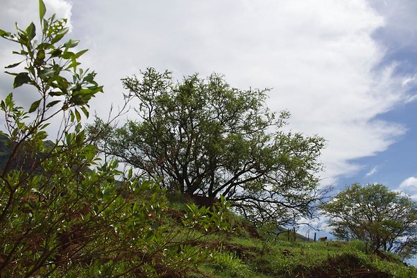 th IMG 4645 th IMG 4645