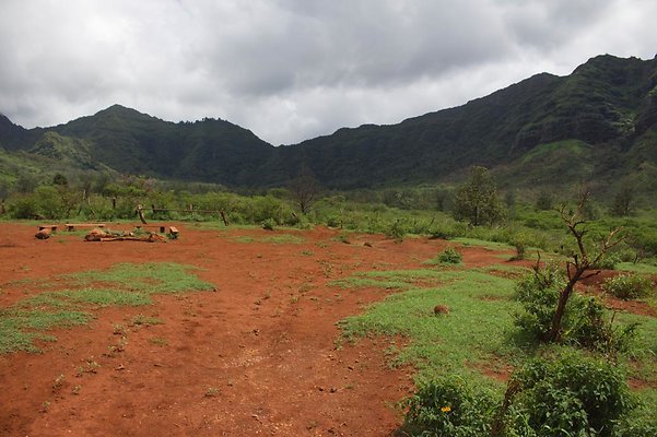 th IMG 4669 th IMG 4669