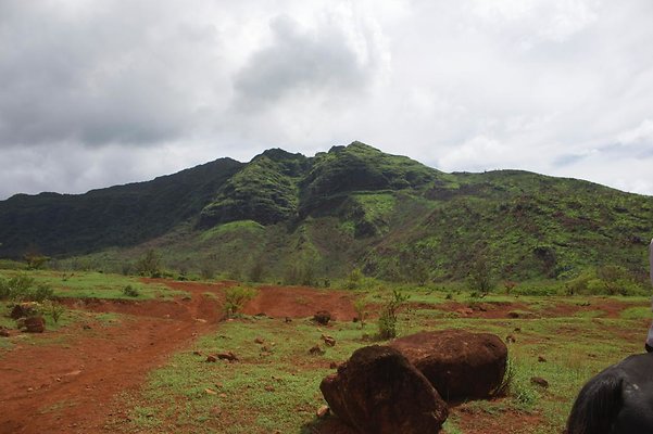 th IMG 4658 th IMG 4658