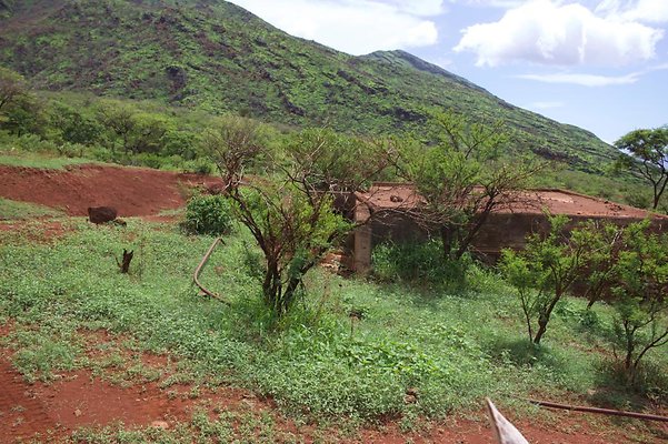 th IMG 4661 th IMG 4661