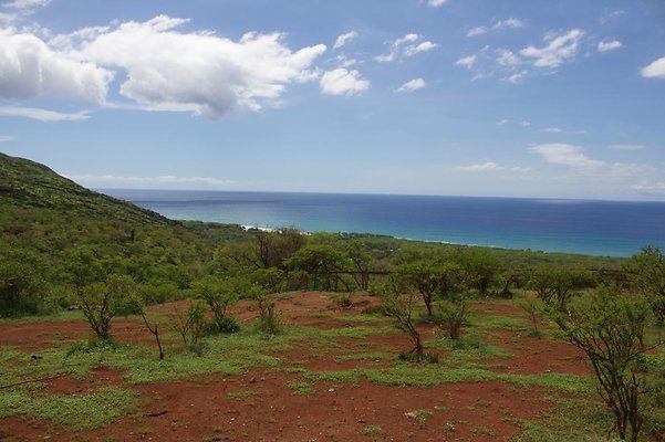 th IMG 4665 th IMG 4665