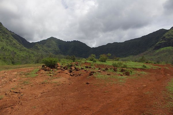 th IMG 4657 th IMG 4657