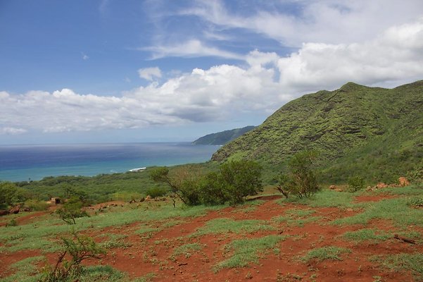 th IMG 4670 th IMG 4670