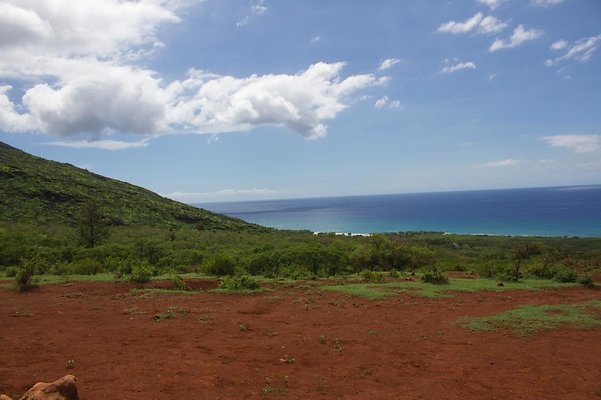 th IMG 4672 th IMG 4672