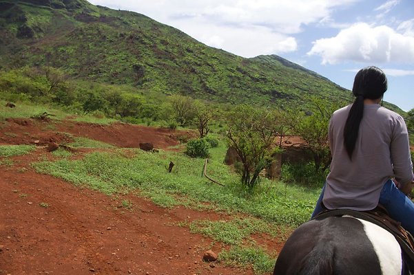 th IMG 4660 th IMG 4660