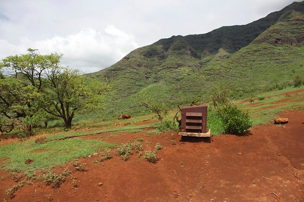 th IMG 4667 th IMG 4667