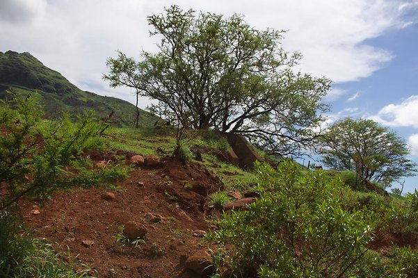 th IMG 4646 th IMG 4646