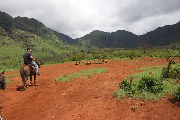 th IMG 4668 th IMG 4668