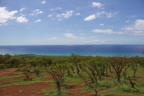 th IMG 4664 th IMG 4664