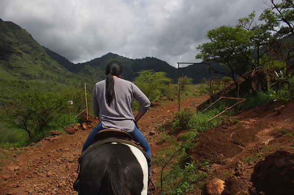 th IMG 4649 th IMG 4649