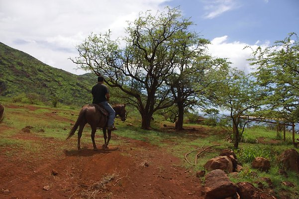 th IMG 4656 th IMG 4656