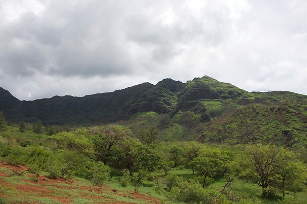 th IMG 4666 th IMG 4666