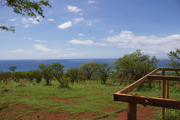 th IMG 4659 th IMG 4659