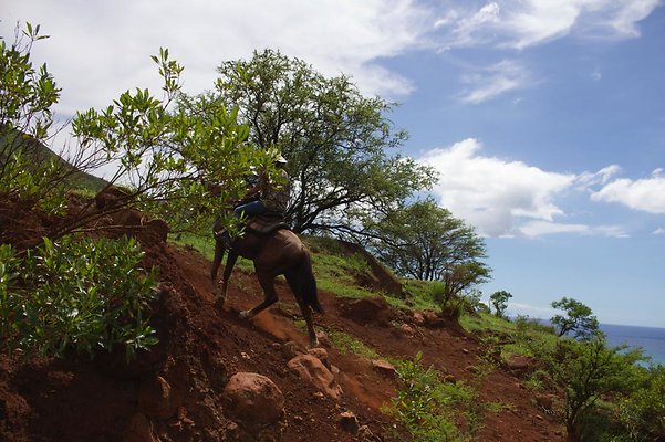 th IMG 4647 th IMG 4647