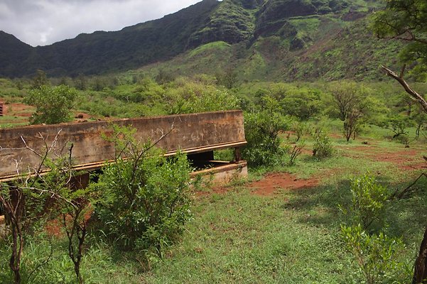 th IMG 4663 th IMG 4663