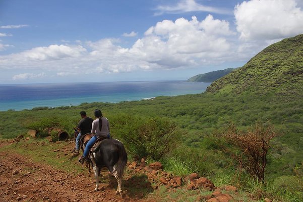 Trail: Views Trail: Views