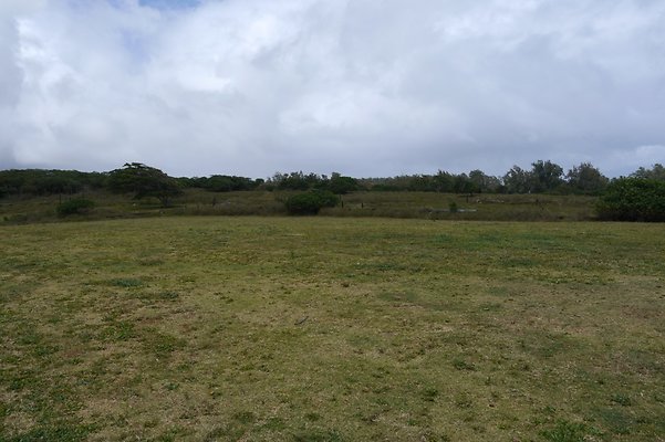 HI50 S6 Gun Stock Ranch 30