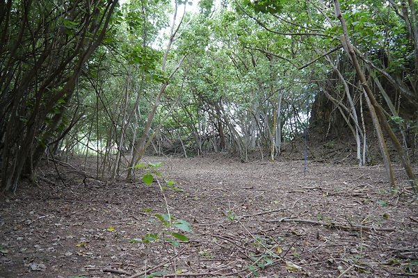 HI50 S6 Gun Stock Ranch 56