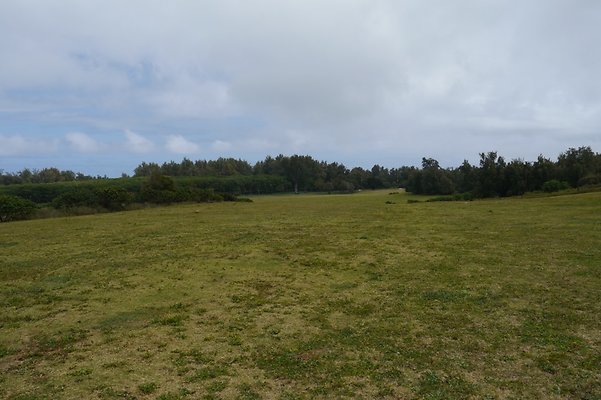 HI50 S6 Gun Stock Ranch 28