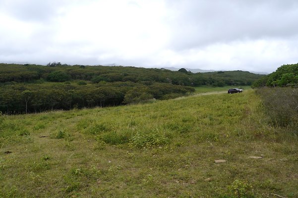 HI50 S6 Gun Stock Ranch 51