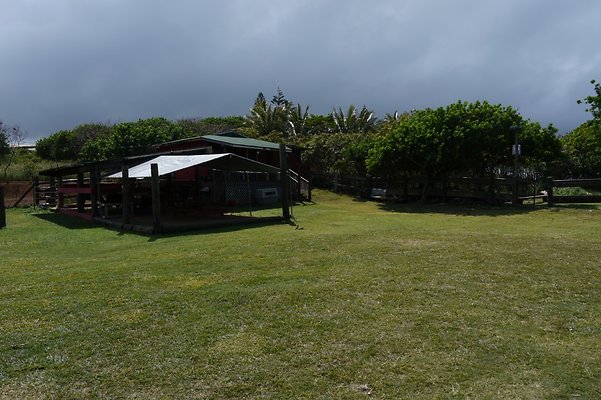 HI50 S6 Gun Stock Ranch 58