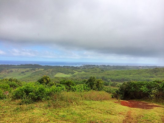 HI50 S6 Gun Stock Ranch 63