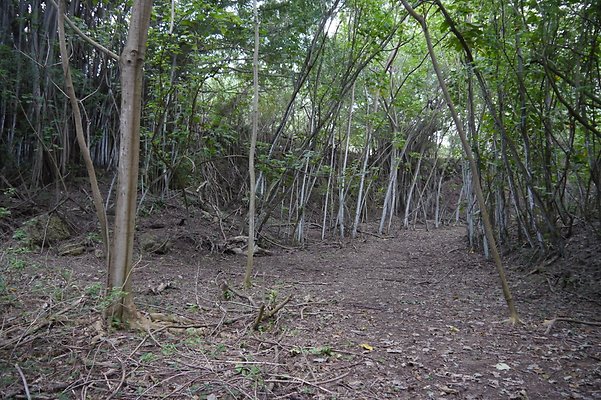 HI50 S6 Gun Stock Ranch 54