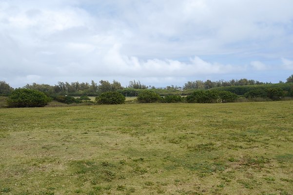 HI50 S6 Gun Stock Ranch 29