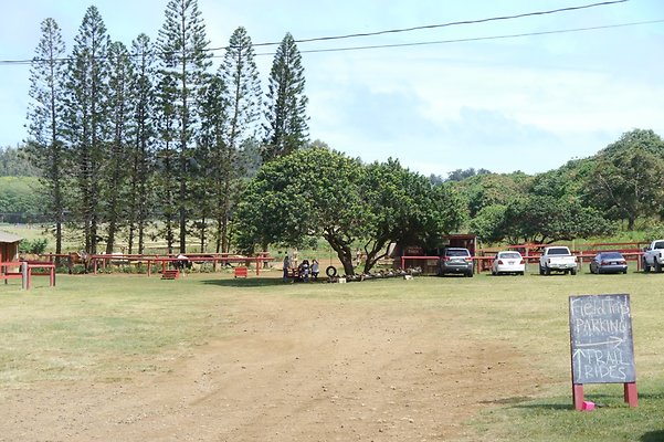 HI50 S6 Gun Stock Ranch 62