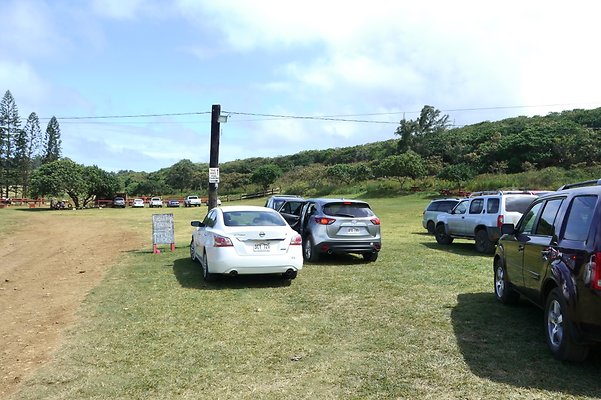 HI50 S6 Gun Stock Ranch 60