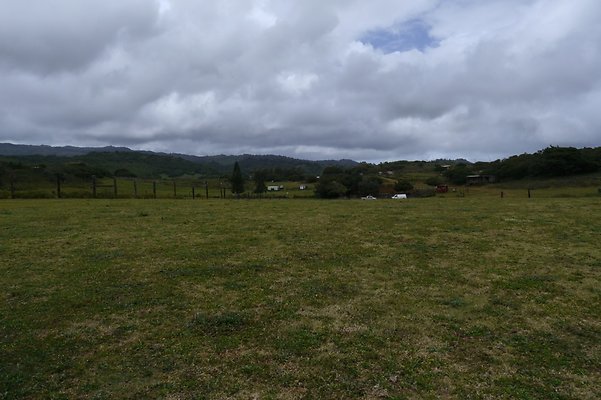 HI50 S6 Gun Stock Ranch 31